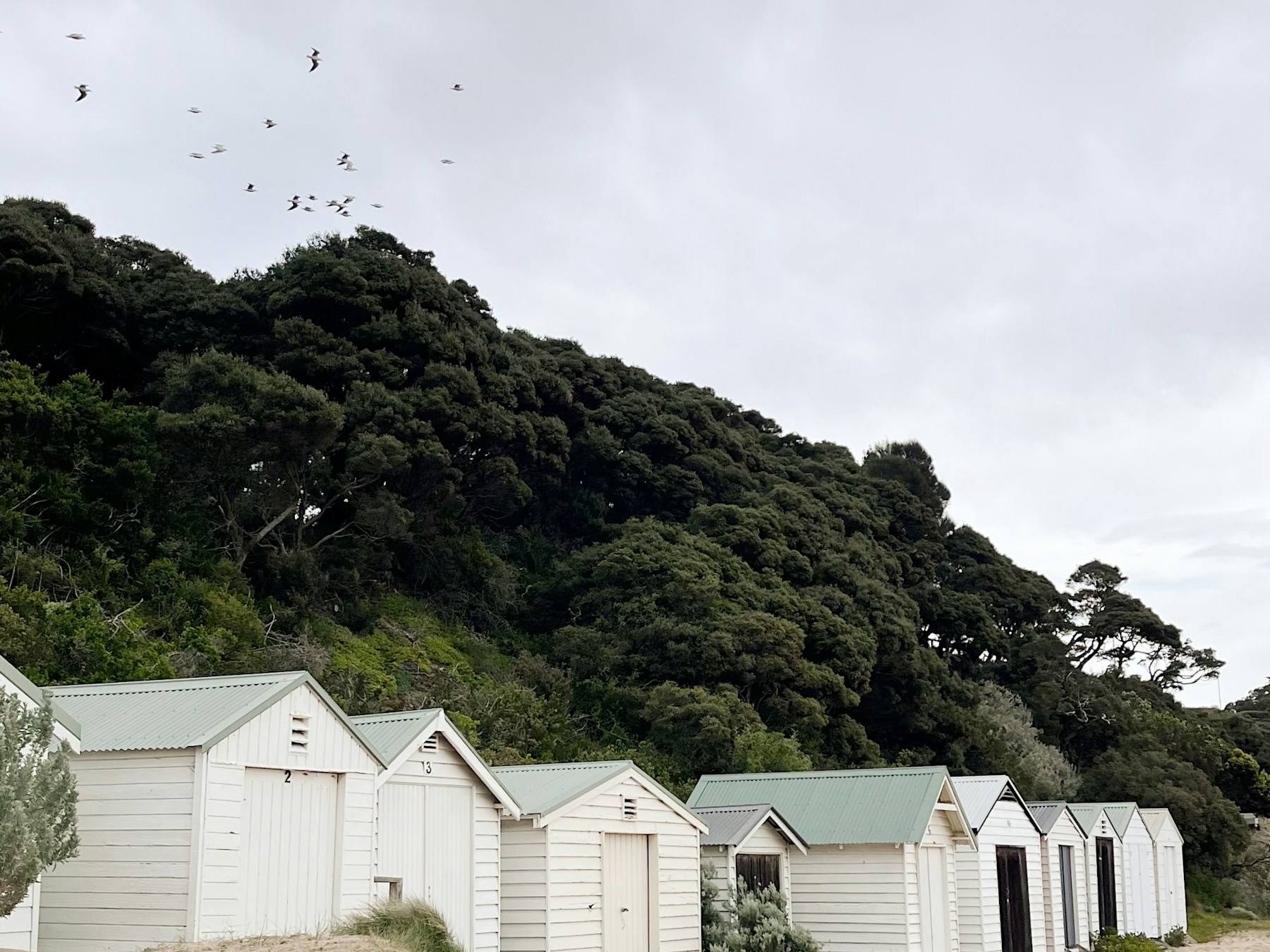 Peninsula beach huts below a wooded hillside